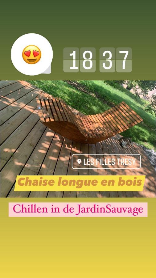 Chambres D Hotes Les Filles Tresy Passenans Exterior photo